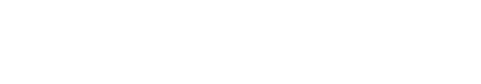 <strong>2025 - Present</strong>